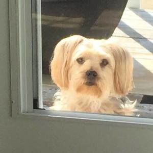 Meet your Posher, Kathy